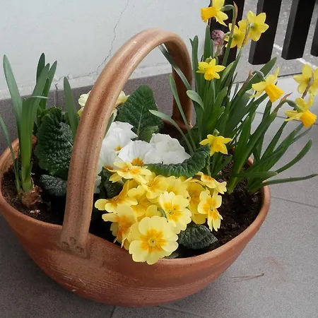 Casa de hóspedes Eden